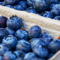 Marjatkin ovat herkkua.