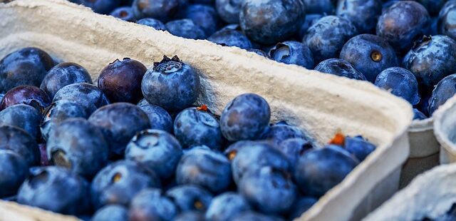 Marjatkin ovat herkkua.