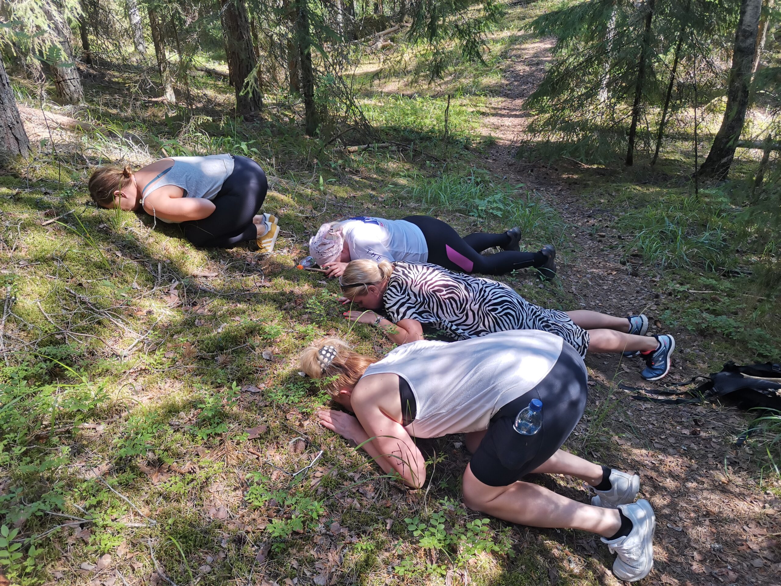 Metsäkylpy parantaa vastustuskykyä ja herättää mielen pohtimaan omia toimintatapoja.