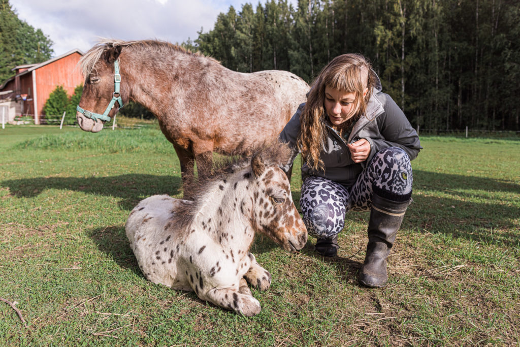 Hevosten avulla kuntoon.