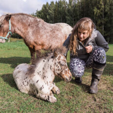 Hevosten avulla kuntoon.