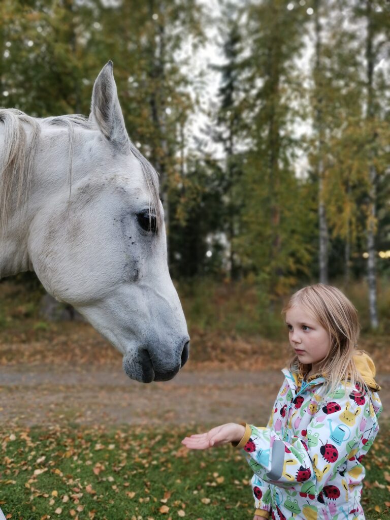 Paciano, Läsnäolon mestari,täysverinen arabi, joka soveltuu herkän luonteensa puolesta hevosavusteiseen työhön paremmin kuin hyvin.