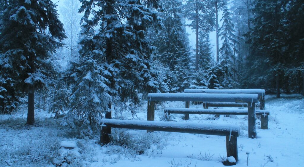 Metsäkuntosalin esteet auttavat liikkumaan monipuolisesti.