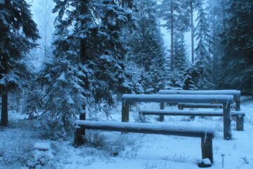 Metsäkuntosalin esteet auttavat liikkumaan monipuolisesti.