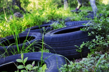 Metsäkuntosali - kuvassa maassa autonrenkaita, joiden läpi on tarkoitus juosta. Taka-alalla on juoksija tulossa renkaissa. Juoksijasta näkyy vain puolet.