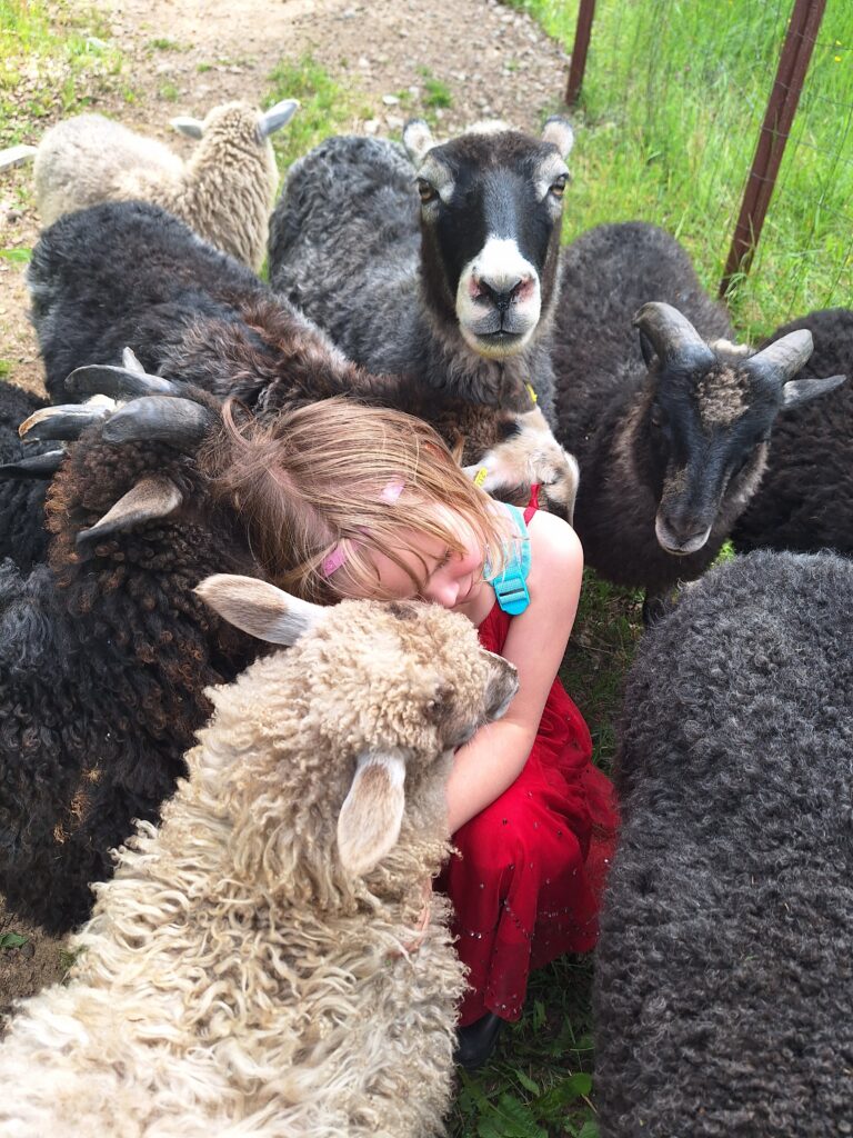 Äitiyden monet kasvot - artikkeli. Kuvassa Kuopukseni lampaiden keskellä. Hän nojaa päätään lampaiden päihin.