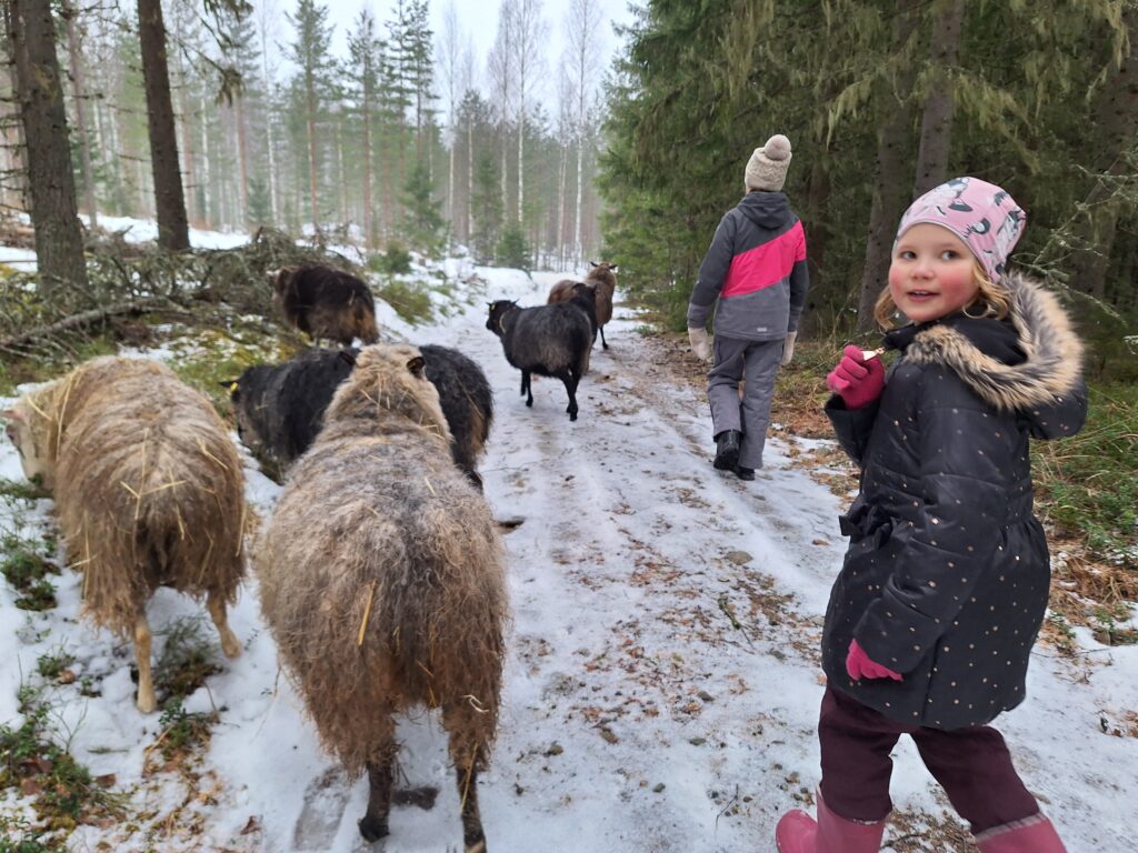 Äitiyden monet kasvot - artikkeli Lammaslenkillä lapsien kanssa