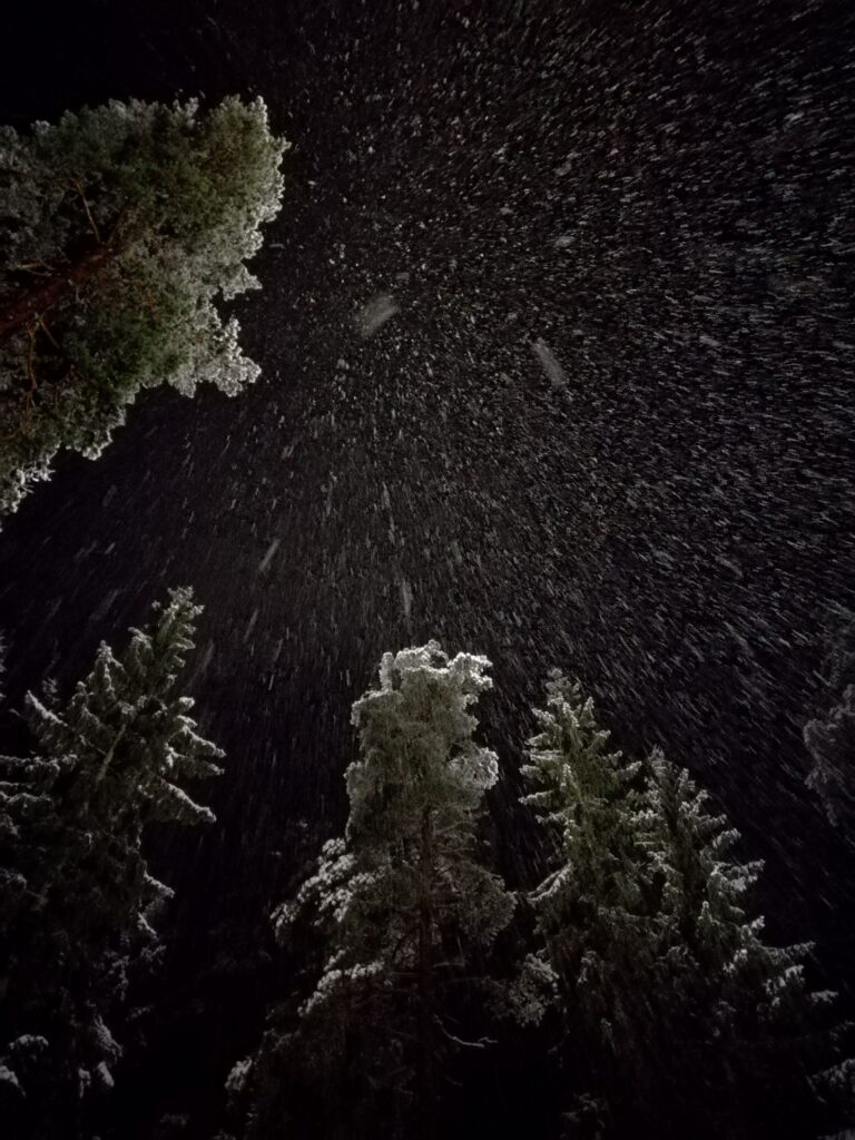 Kuvassa pimeä taivas, puiden latvoja ja sataa lunta. Kuva kuluu tapahtumaan Pimeä metsä - lupa hidastaa,