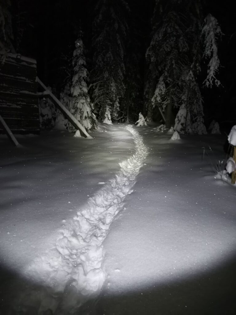 Kuvassa lumihanki, jossa keskellä kulkee polku, joka näkyy taskulampun valossa. Kuva kuuluu Pimeä metsä - lupa hidastaa tapahtumaan