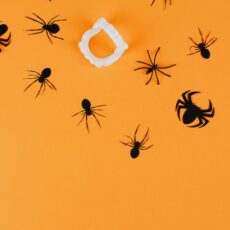 Halloween metsä - yksinhuoltaja + 1
